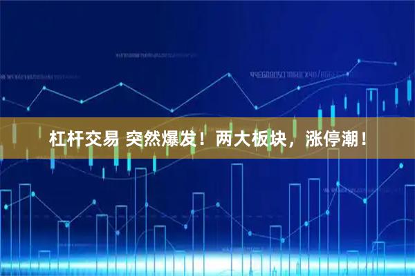 杠杆交易 突然爆发！两大板块，涨停潮！